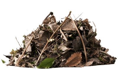 Garden Waste
